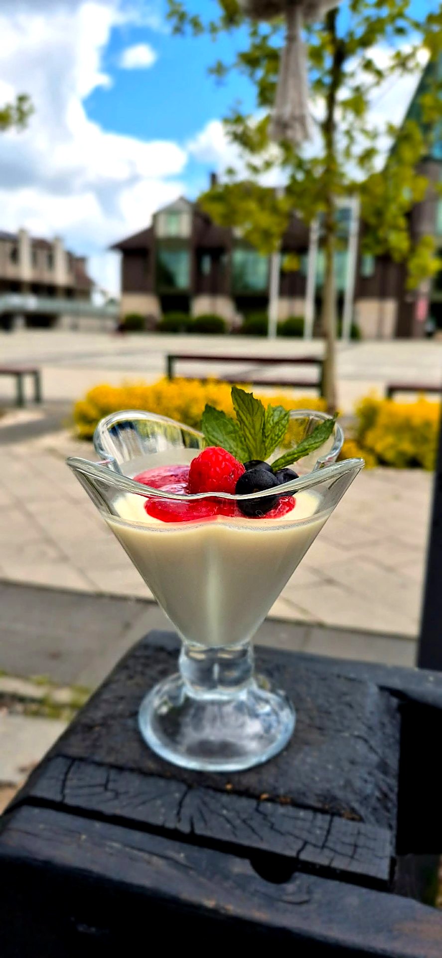 Deser panna cotta z owocami